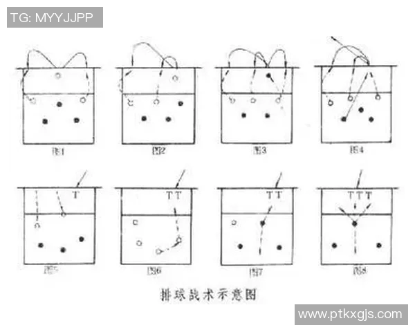 上海排球队进攻体系解析：高效战术与团队配合的完美结合